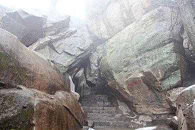 3DM速报：拳头为《英雄联盟》MSI深夜道歉 传《寂静岭2》正在重制