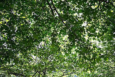 万代机甲新作《奇异贤伴：爱达之歌》封闭B测预告 3月28日开启